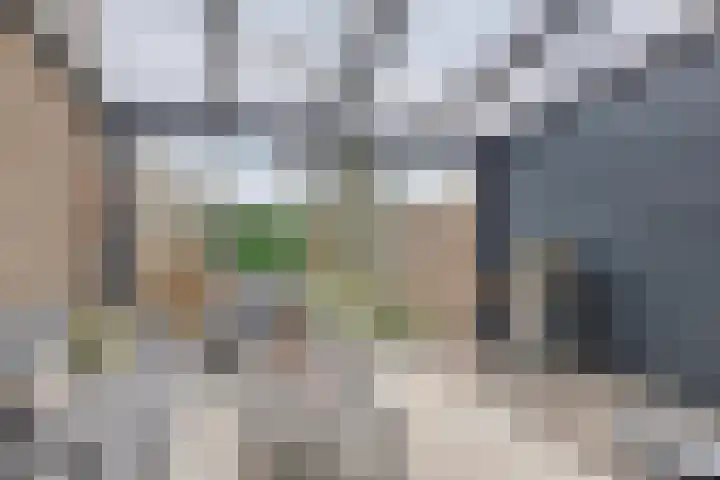 Van Drielstlaan 3 Groningen thumbnail 34