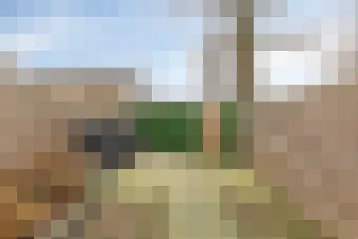 Van Drielstlaan 3 Groningen thumbnail 38