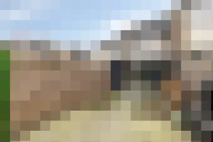 Van Drielstlaan 3 Groningen thumbnail 39