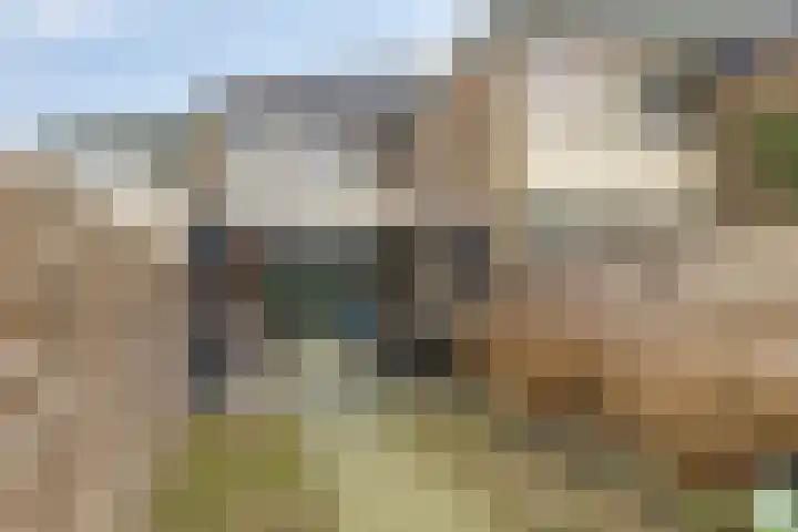 Van Drielstlaan 3 Groningen thumbnail 40