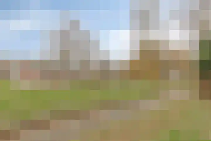 Van Drielstlaan 3 Groningen thumbnail 41