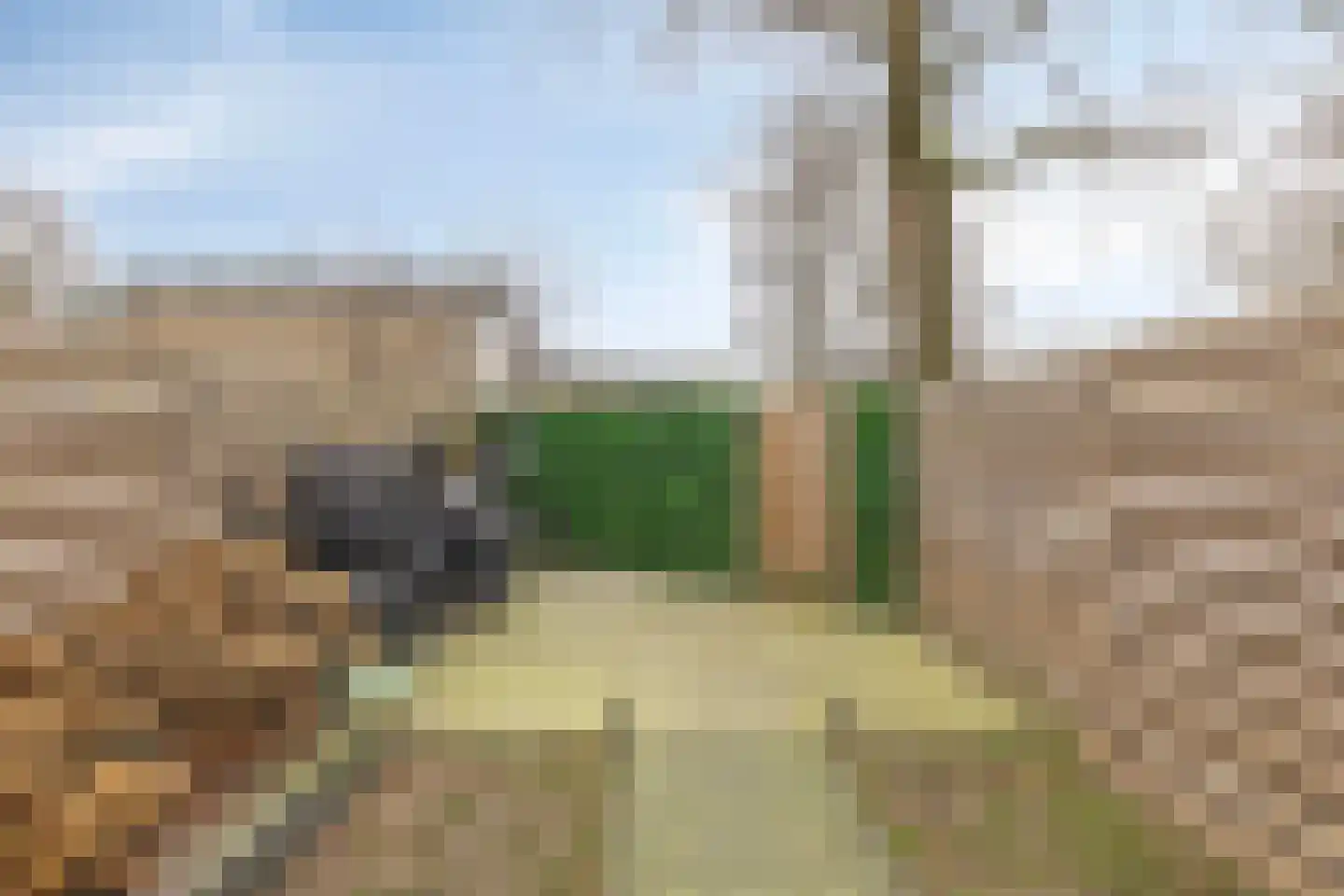 Van Drielstlaan 3 Groningen thumbnail 45