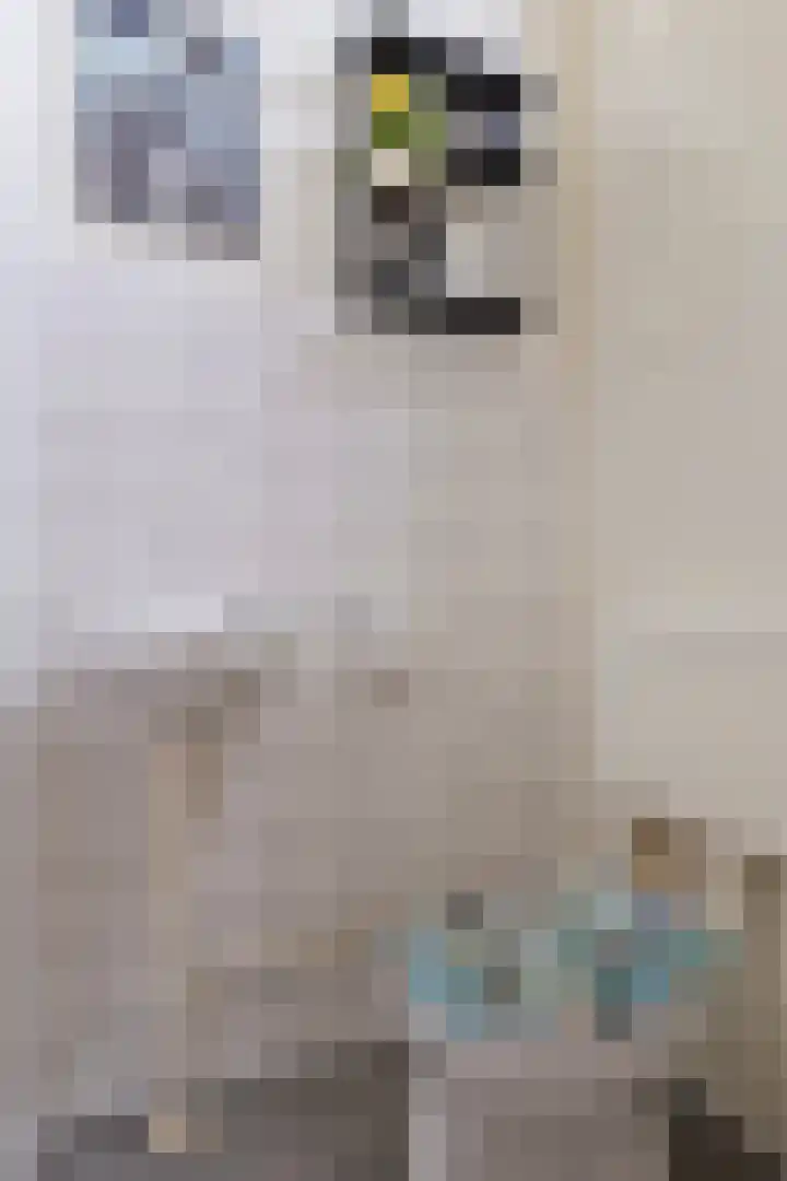 Van Drielstlaan 3 Groningen thumbnail 8
