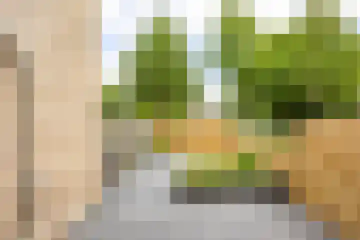Van Drielstlaan 51 Groningen thumbnail 14