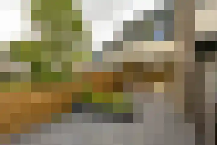 Van Drielstlaan 51 Groningen thumbnail 15