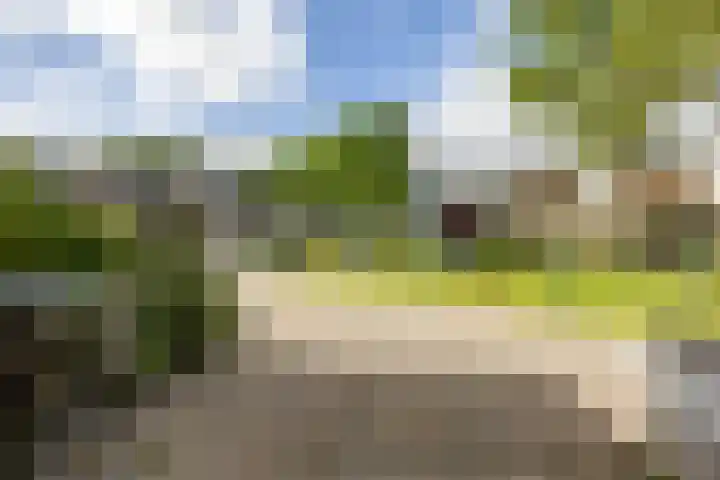 Van Drielstlaan 51 Groningen thumbnail 26