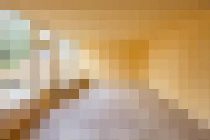 Van Drielstlaan 51 Groningen thumbnail 4
