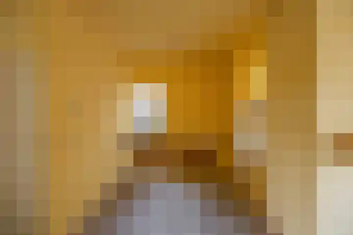 Van Drielstlaan 51 Groningen thumbnail 9