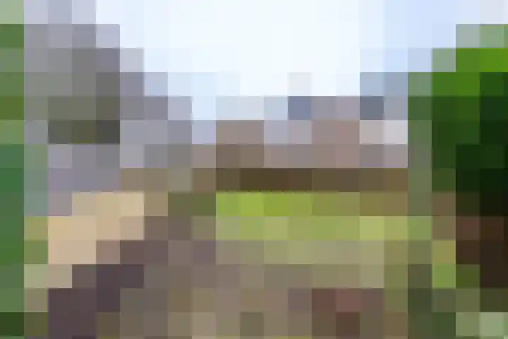 Van Drielstlaan 62 Groningen thumbnail 11