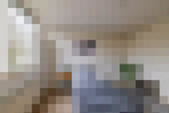 Van Drielstlaan 62 Groningen thumbnail 27