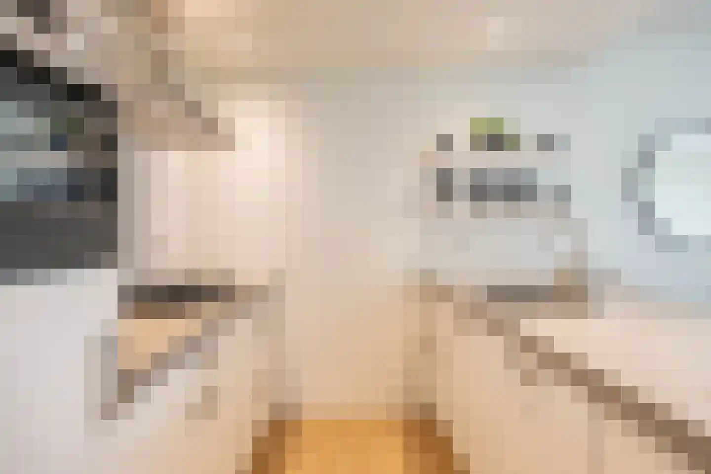 Van Drielstlaan 75 Groningen thumbnail 15