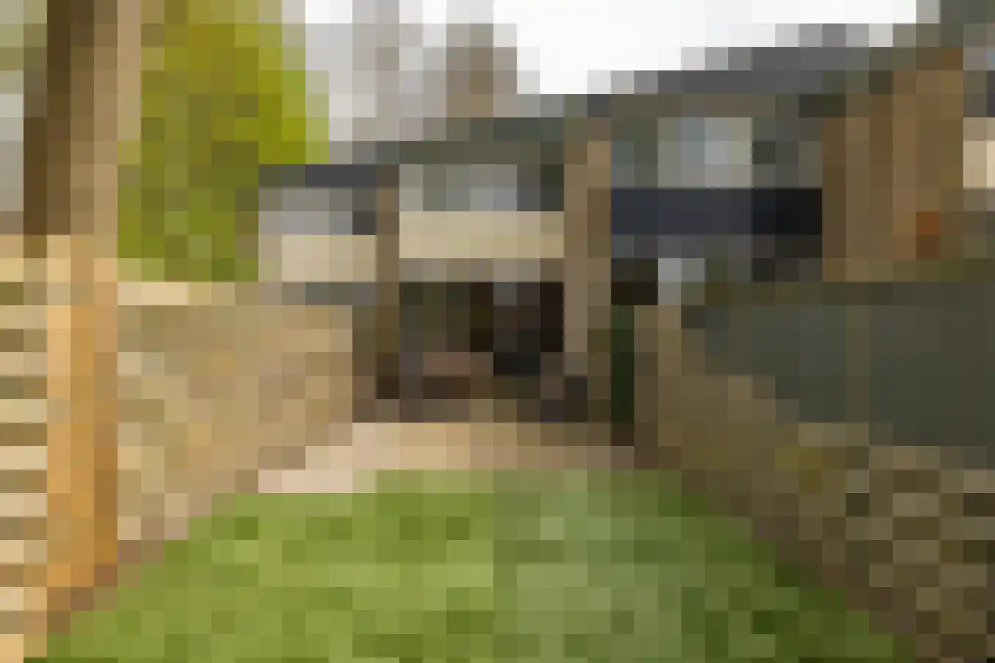 Van Drielstlaan 75 Groningen thumbnail 32