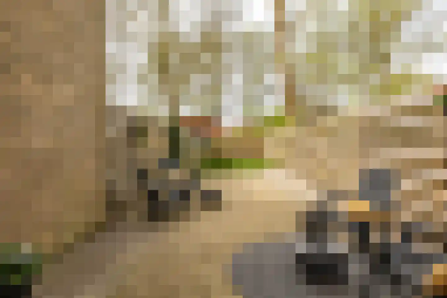 Van Drielstlaan 75 Groningen thumbnail 33