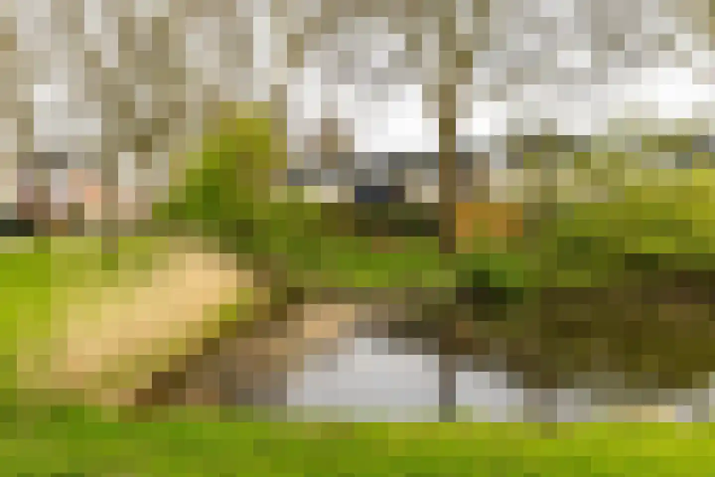 Van Drielstlaan 75 Groningen thumbnail 34