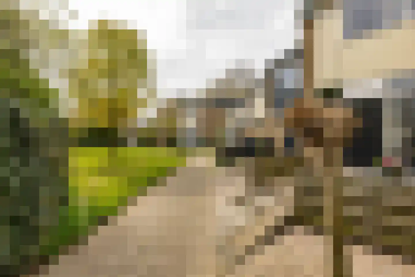 Van Drielstlaan 75 Groningen thumbnail 35