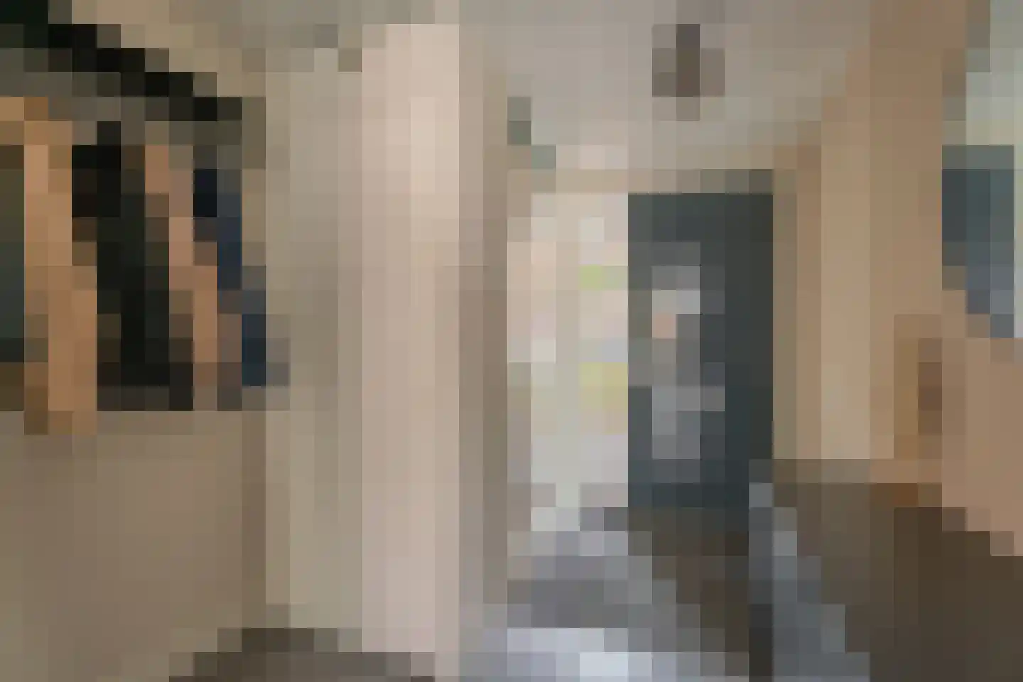 van Driestenstraat 19 Rijnsburg thumbnail 12