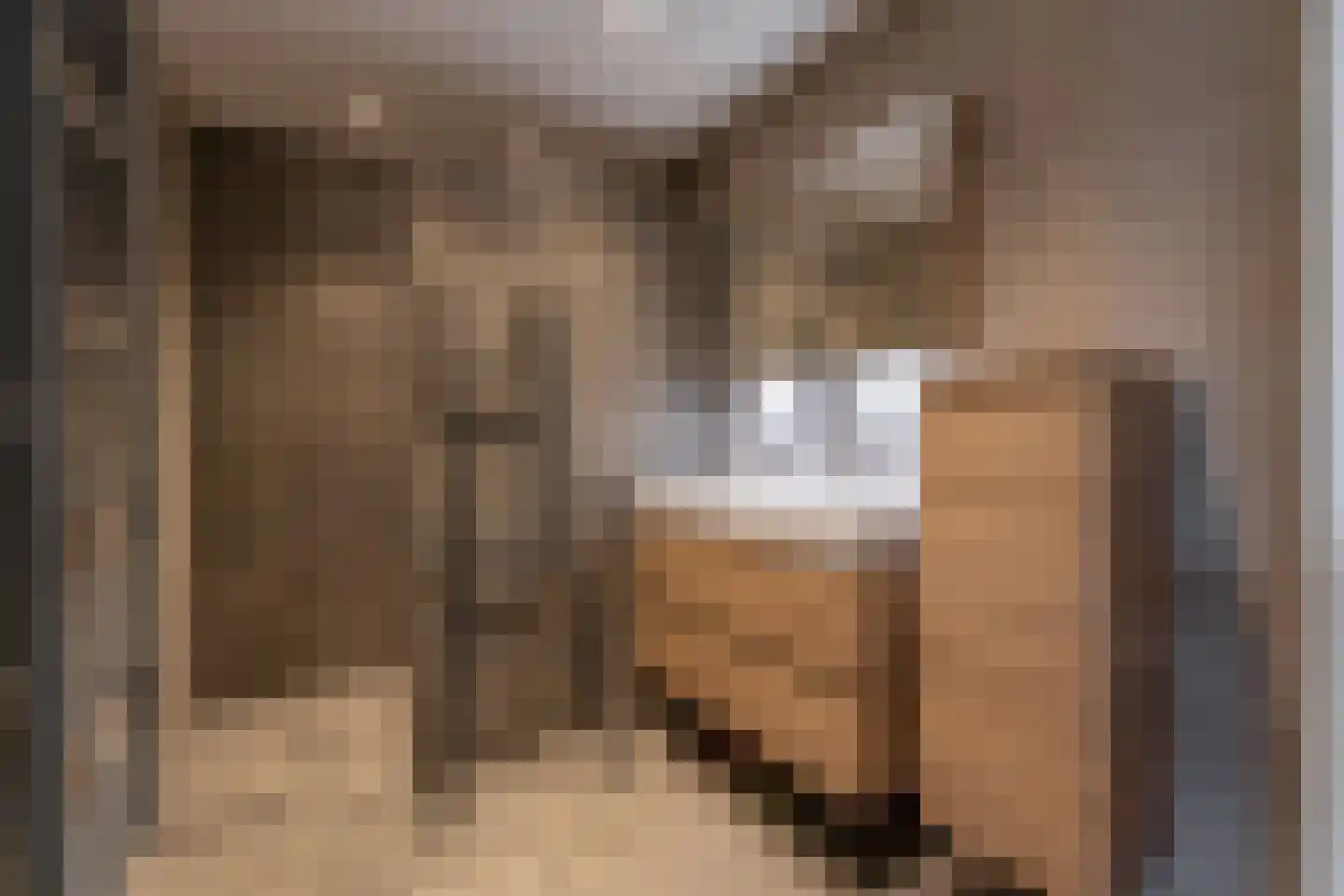 van Driestenstraat 19 Rijnsburg thumbnail 23
