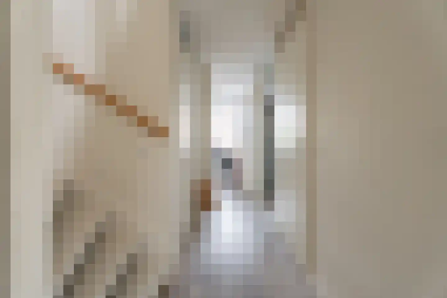 van Driestenstraat 19 Rijnsburg thumbnail 26