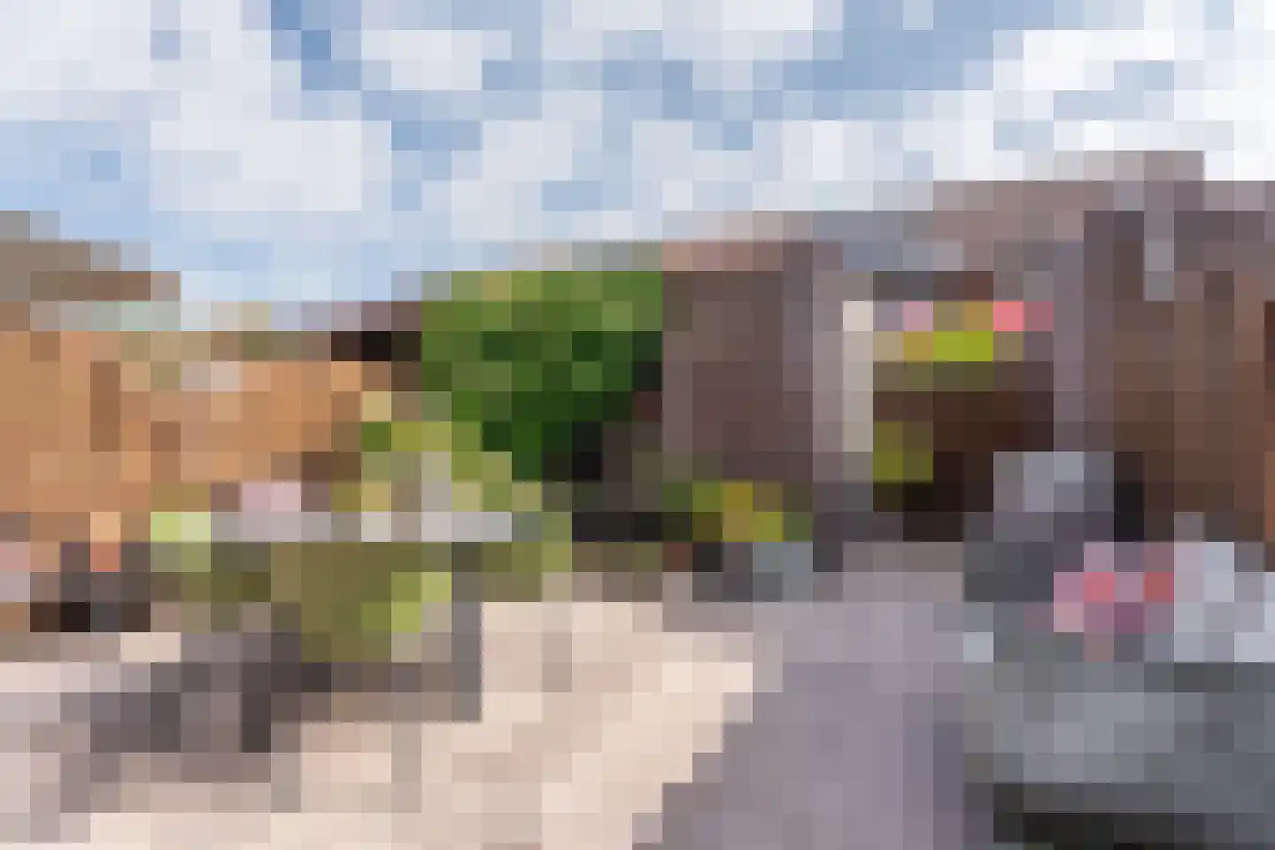 van Driestenstraat 19 Rijnsburg thumbnail 31
