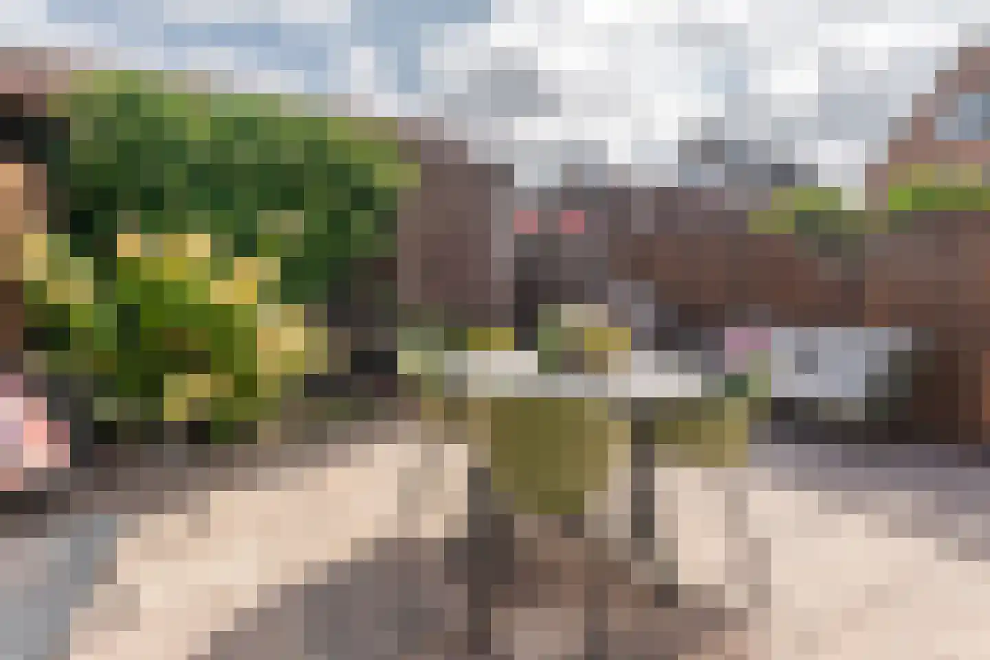 van Driestenstraat 19 Rijnsburg thumbnail 32