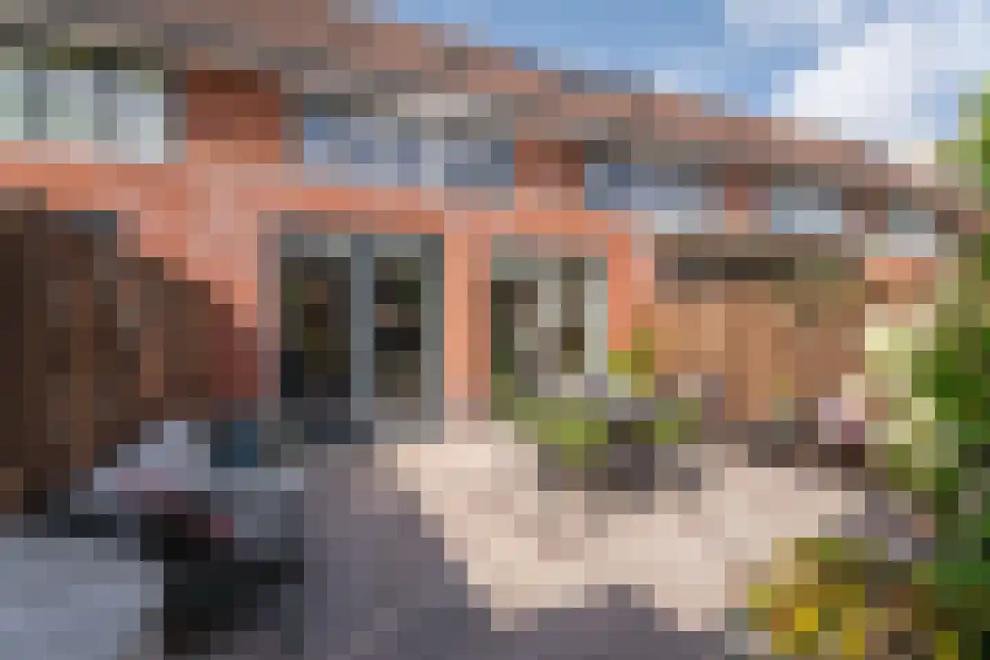 van Driestenstraat 19 Rijnsburg thumbnail 33