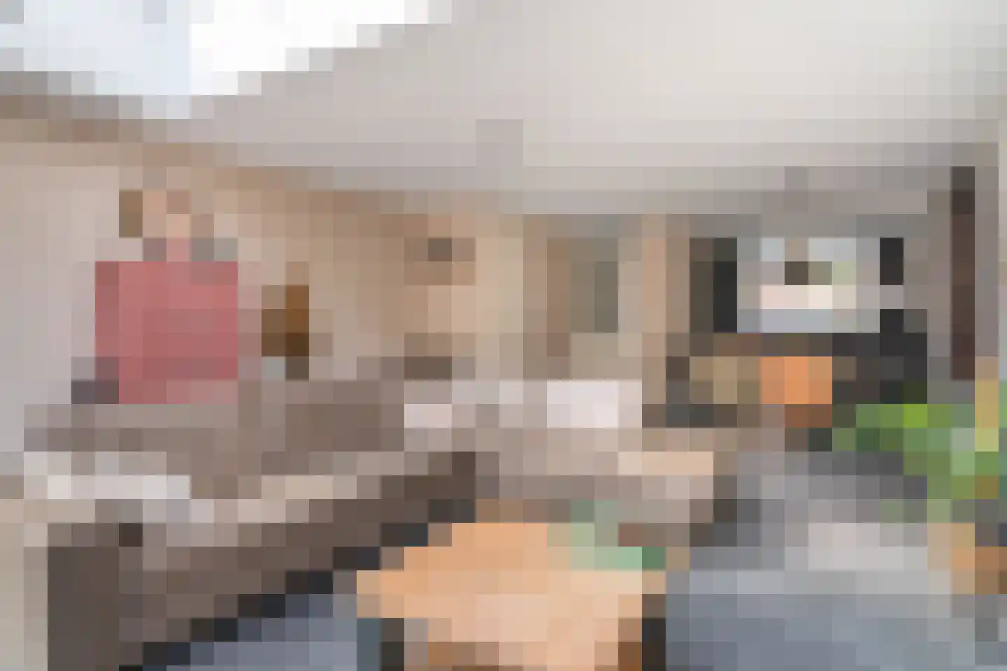 van Driestenstraat 19 Rijnsburg thumbnail 6