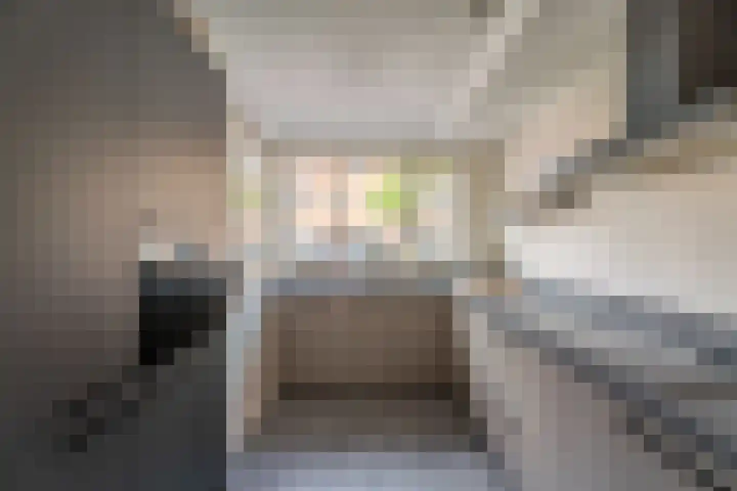 van Driestenstraat 19 Rijnsburg thumbnail 9