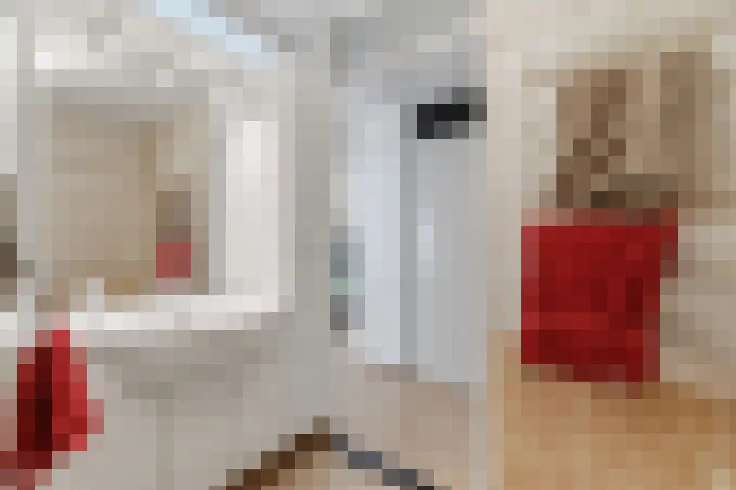 Van Drieststraat 8 Den Haag thumbnail 31