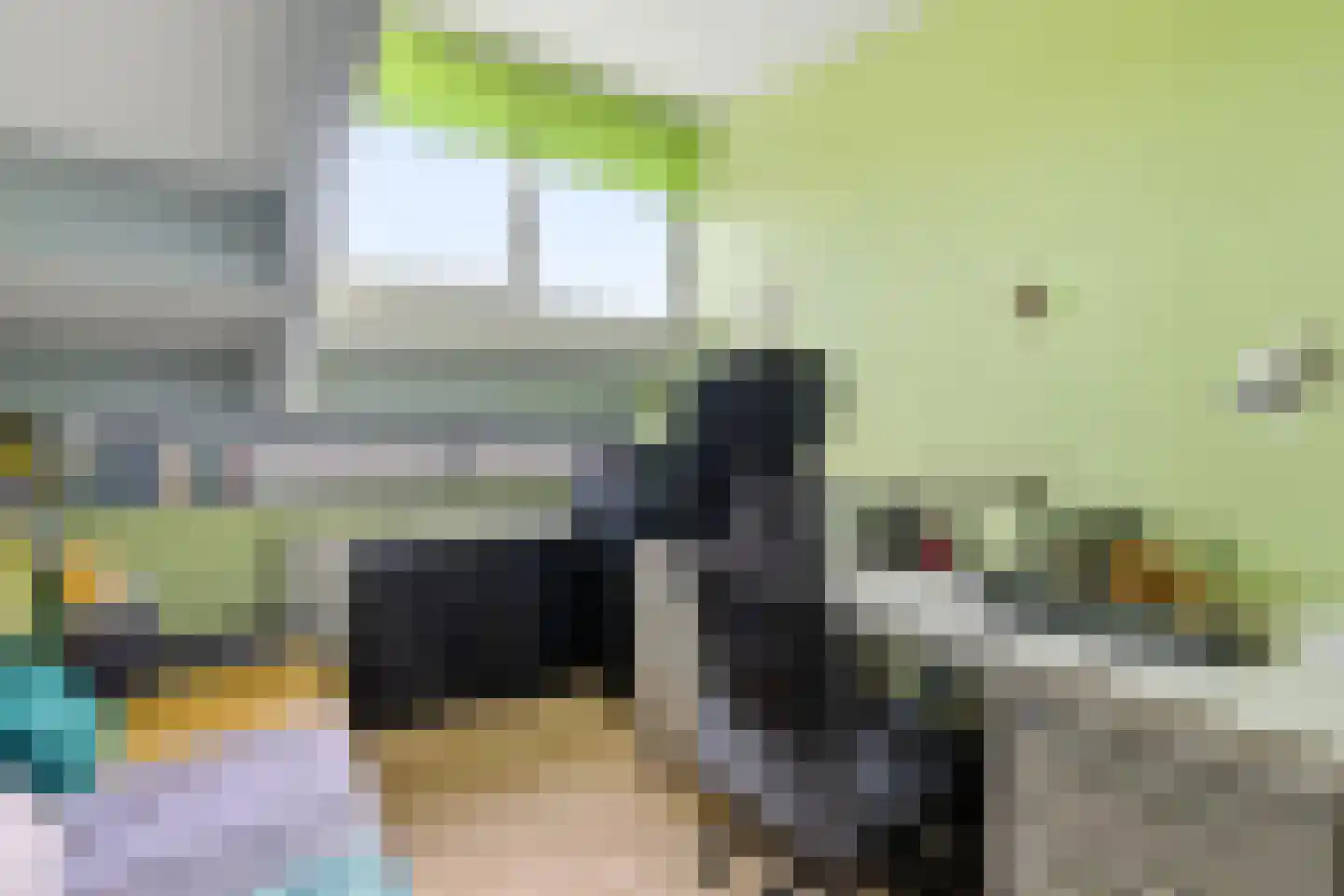 Van Drieststraat 8 Den Haag thumbnail 37