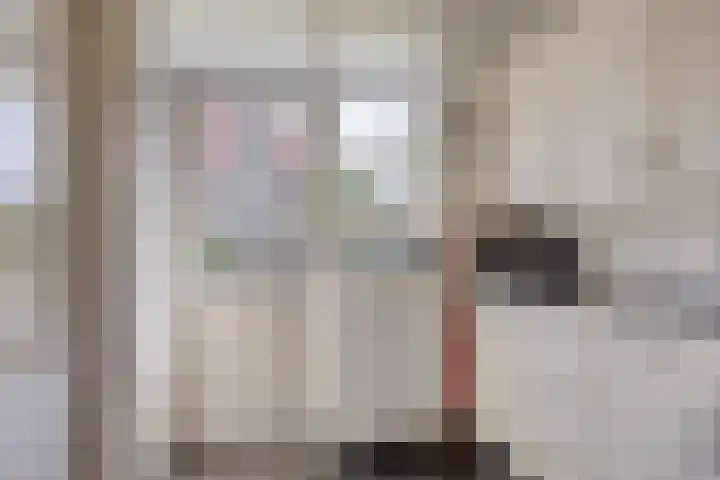van Drinenstraat 7 Zutphen thumbnail 12