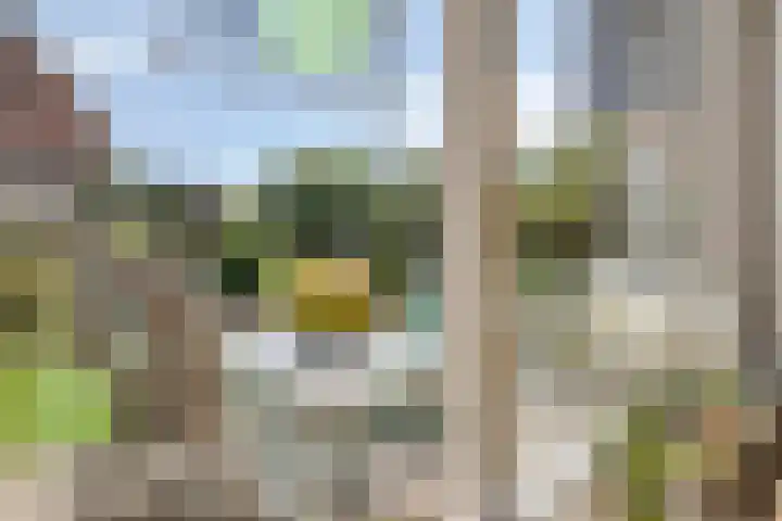 van Drinenstraat 7 Zutphen thumbnail 14