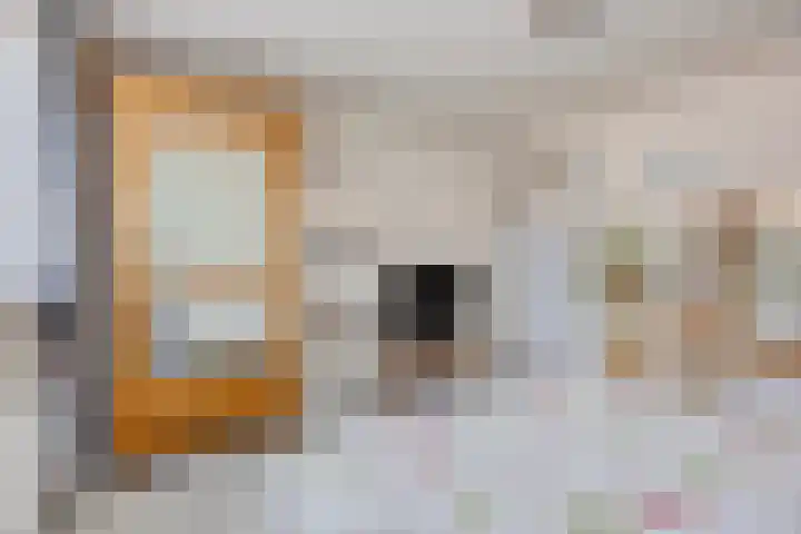 van Drinenstraat 7 Zutphen thumbnail 17