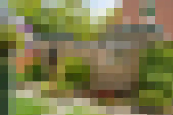 van Drinenstraat 7 Zutphen thumbnail 30