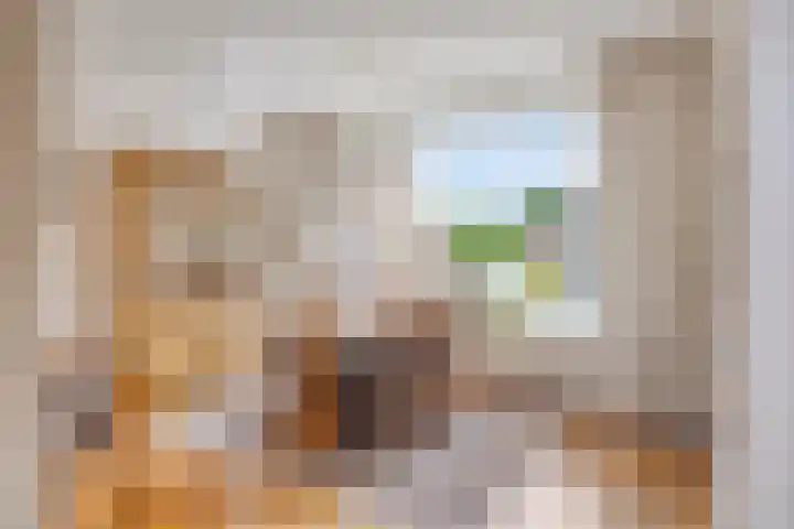 van Drinenstraat 7 Zutphen thumbnail 7