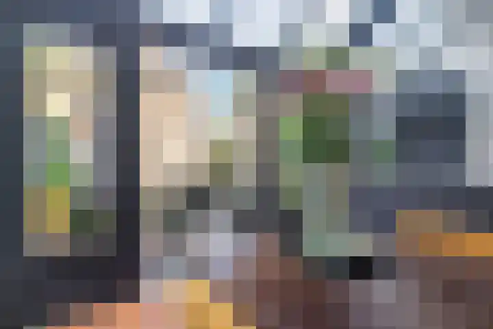 van Duijvenvoordestraat 21 Breda thumbnail 34