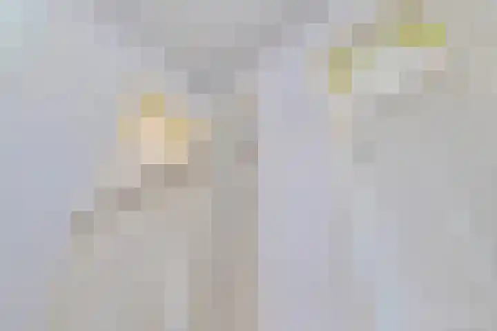 van Duijvenvoordestraat 21 Breda thumbnail 35