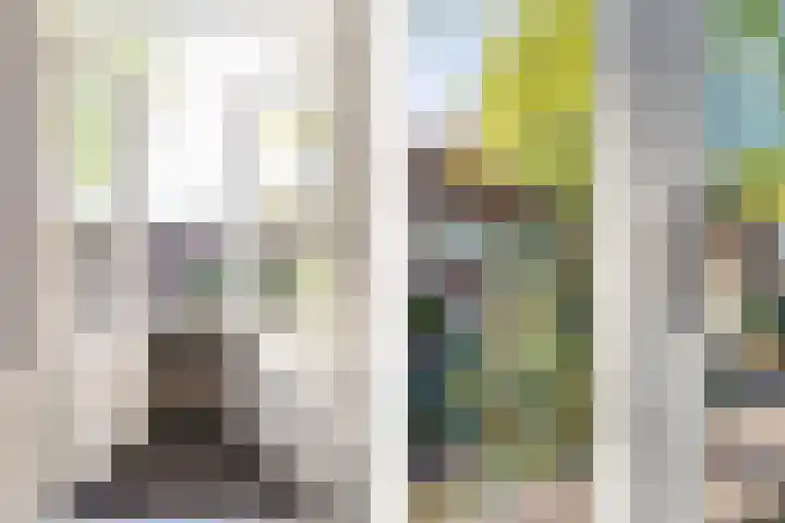 van Duijvenvoordestraat 21 Breda thumbnail 44