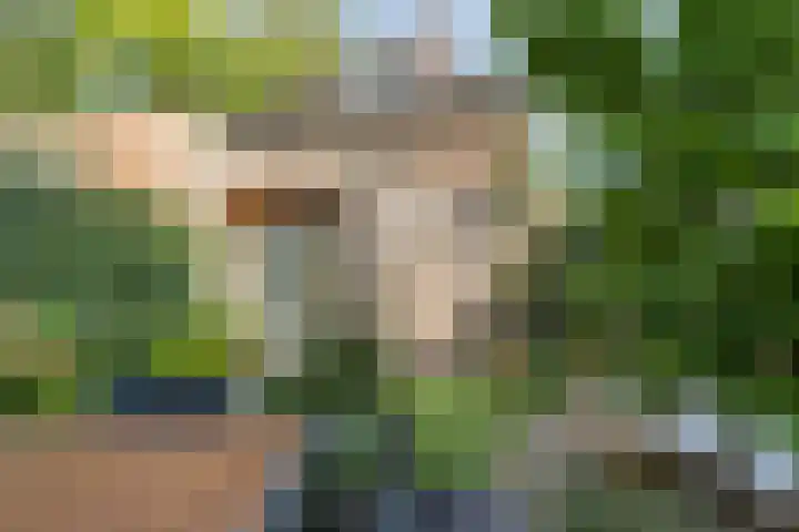 van Duijvenvoordestraat 21 Breda thumbnail 61