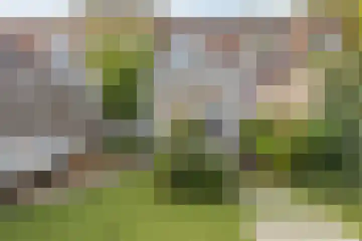 van Duijvenvoordestraat 21 Breda thumbnail 63