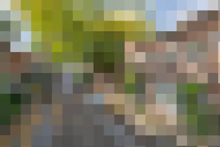 van Duijvenvoordestraat 21 Breda thumbnail 8