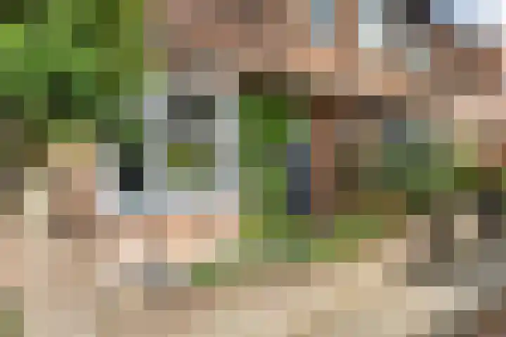 van Duijvenvoordestraat 21 Breda thumbnail 9