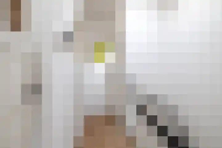 van Duijvenvoordestraat 53 Breda thumbnail 25