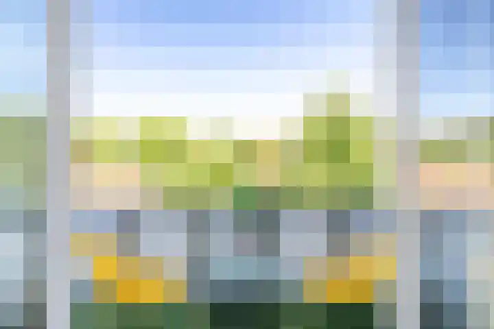 van Duijvenvoordestraat 53 Breda thumbnail 32