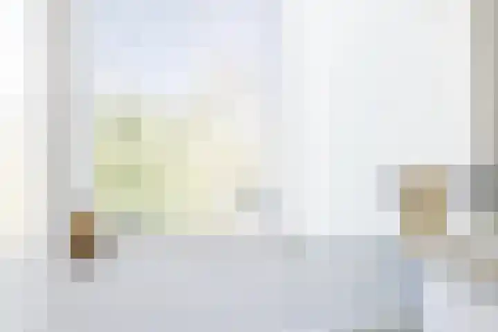 van Duijvenvoordestraat 53 Breda thumbnail 35