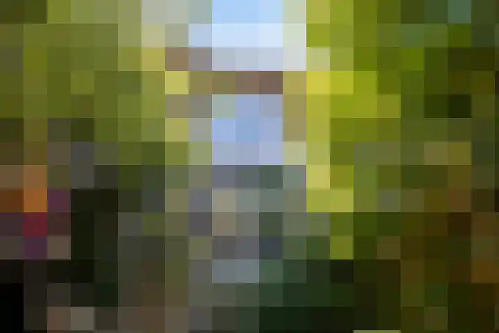 van Duijvenvoordestraat 53 Breda thumbnail 36