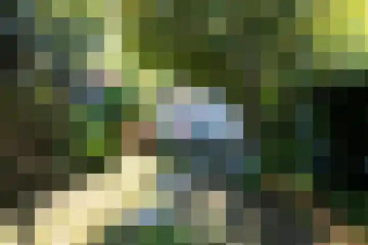 van Duijvenvoordestraat 53 Breda thumbnail 37