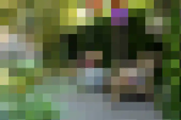 van Duijvenvoordestraat 53 Breda thumbnail 38
