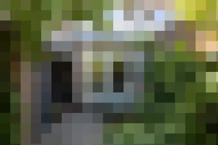 van Duijvenvoordestraat 53 Breda thumbnail 39