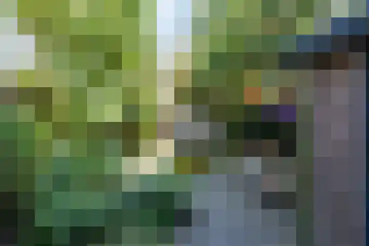 van Duijvenvoordestraat 53 Breda thumbnail 40