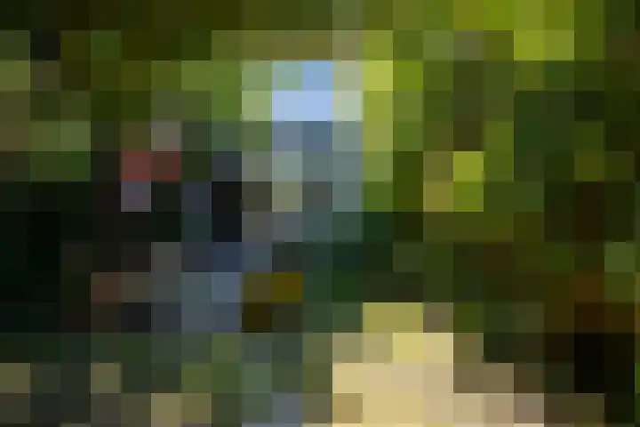van Duijvenvoordestraat 53 Breda thumbnail 43